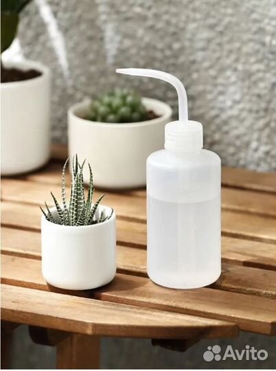 Лейка для суккулентов или рассады б/у