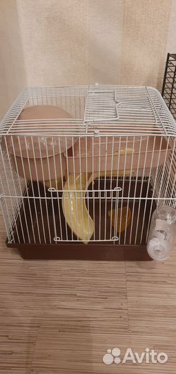 Клетка для грызунов бу