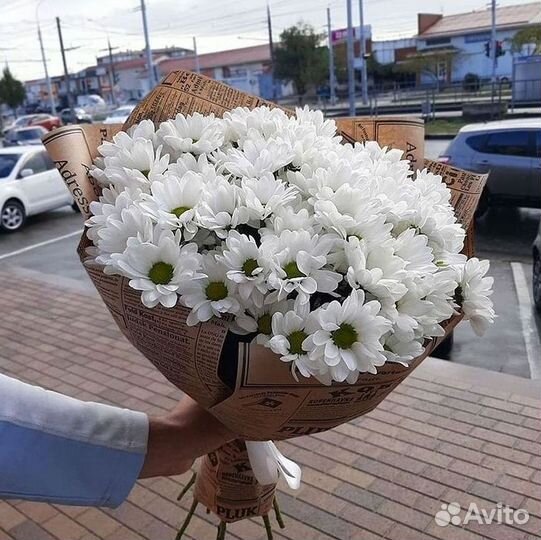 Хризантема Букеты с доставкой