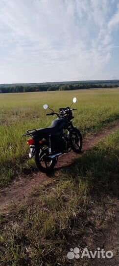 Продам мопед альфа люкс