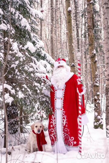 Дед Мороз и Снегурочка