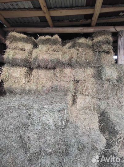 Сено в тюках розница опт 2023 доставка