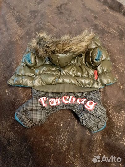 Одежда для маленьких собак