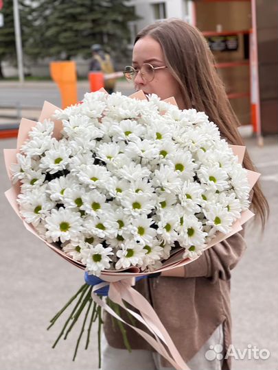 19 хризантем кустовых