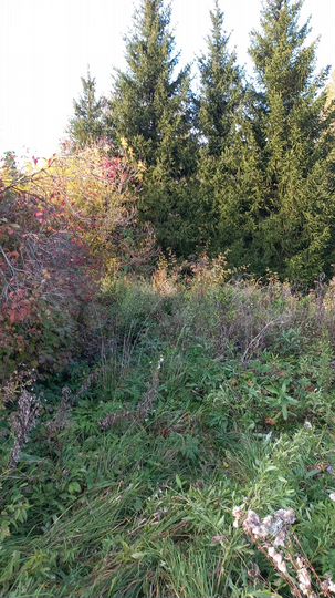 Дом 52 м² на участке 18 сот.