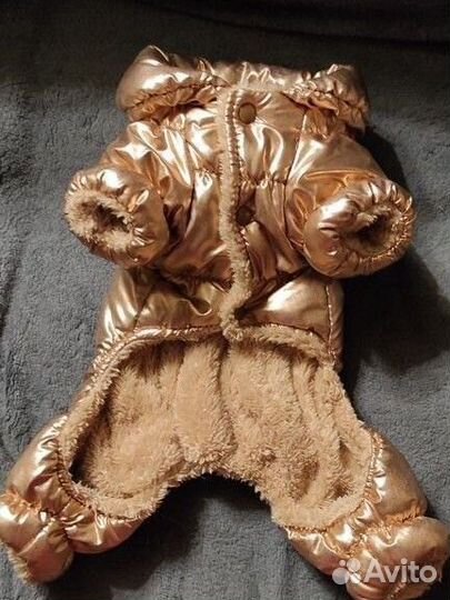 Одежда для собак