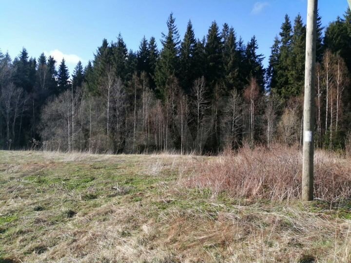 Участок 12 сот. (ИЖС)