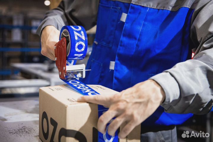 Готовый бизнес на маркетплейсе Ozon, бытовая химия