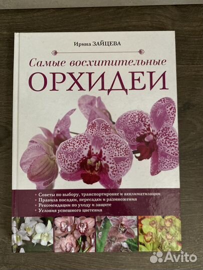 Книга Пелевин Мураками
