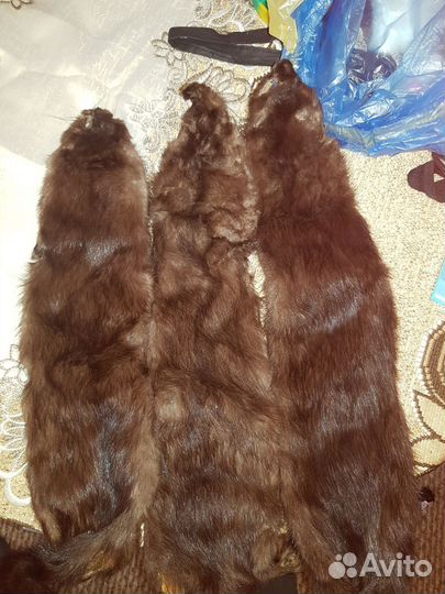 Шкурки норки