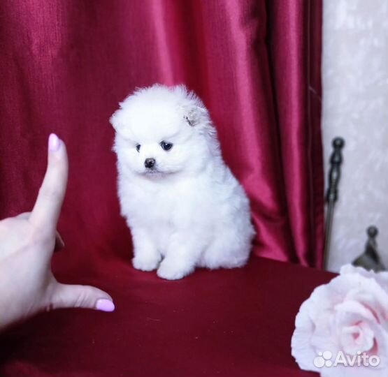 Супер девочка мини