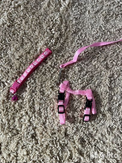 Ошейник и поводок шлейка для кошки новый