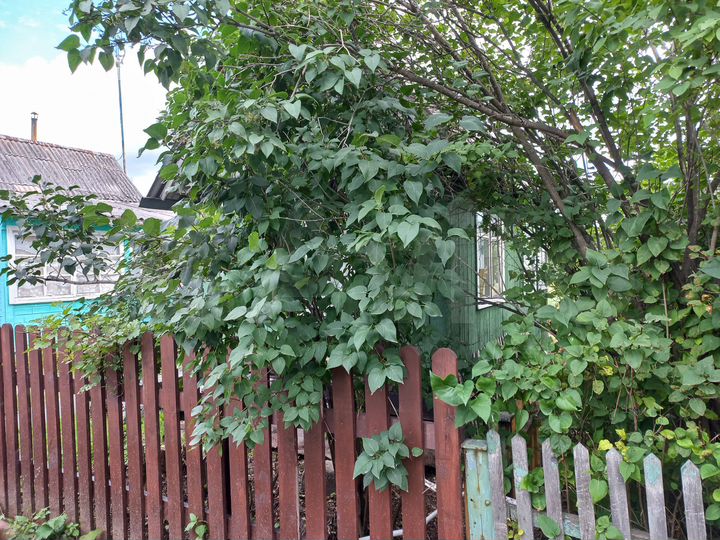 Дача 20 м² на участке 3 сот.