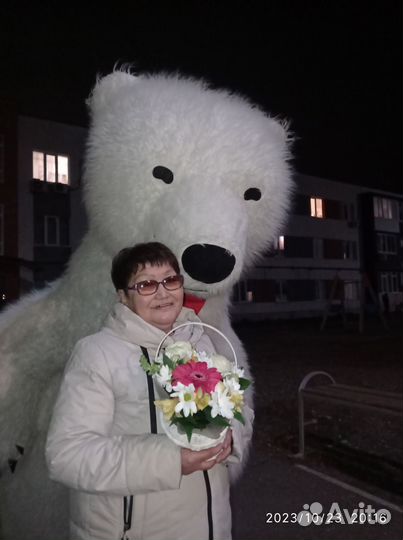 Поздравление от чебурашки и белого мишки