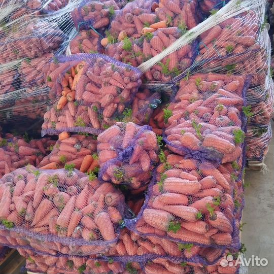 Морковь на корм животным