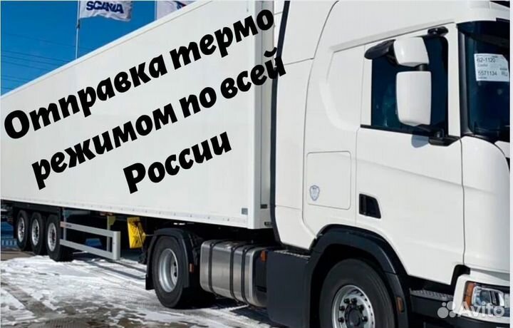 Семга слабой соли от производителя