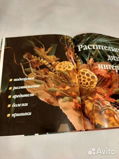 Книга о комнатных растениях