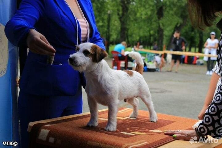 Доступен для вязки
