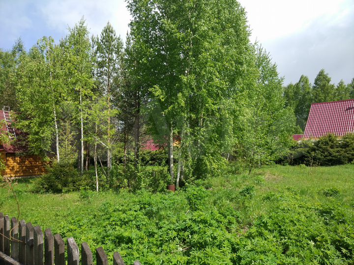 Участок 20 сот. (ИЖС)