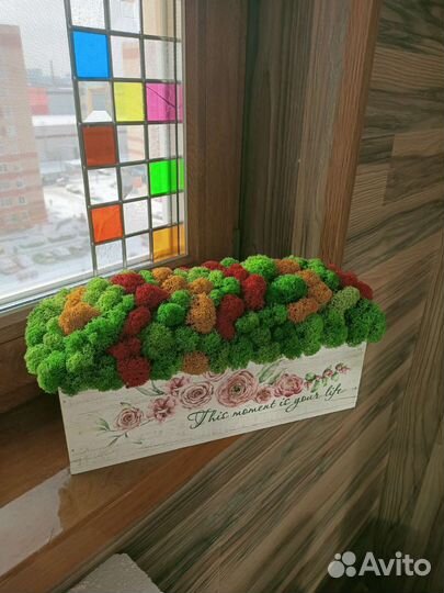 Декор для дома, подарок, композиция из мха