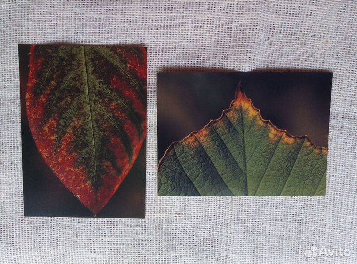 Открытки современные и советские, японские