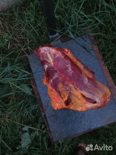 Продам мясо конину