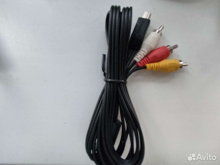 Тюльпаны провода