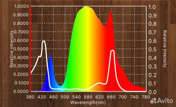Quantum board BNL 100 W line