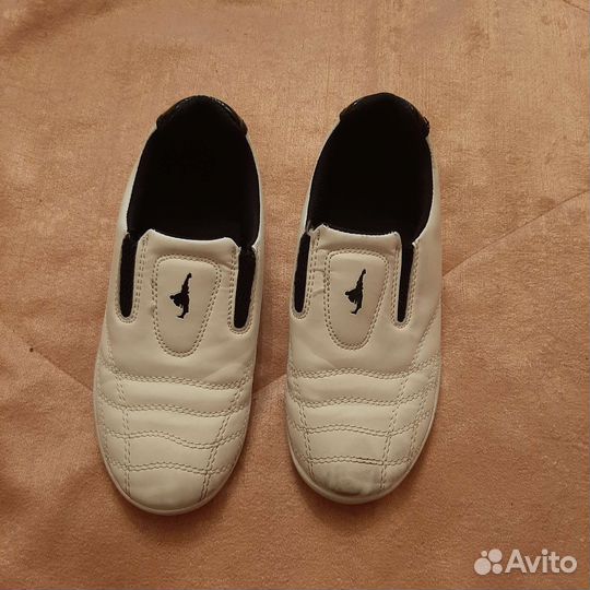 Обувь для тхэквондо и лапа двойная