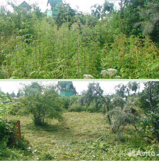 Покос травы,расчистка участков