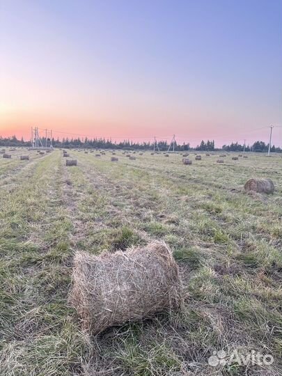 Сено в мини рулонах