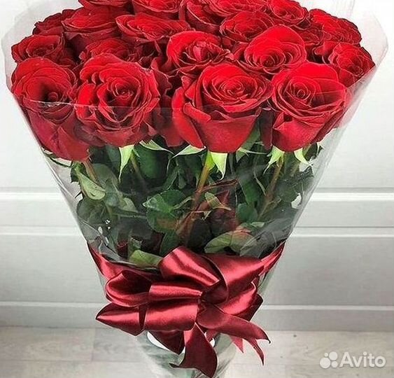 Высокие розы