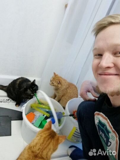 Обслуживание аквариумов