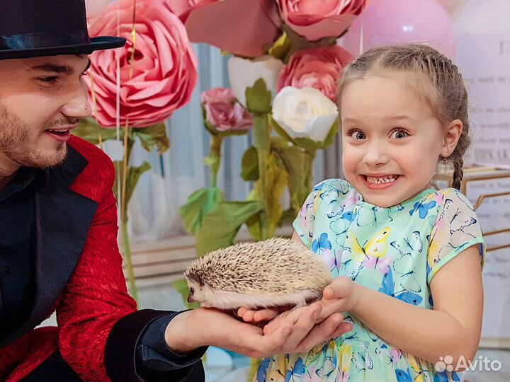 Аниматор и 7 зверюшек на детский праздник