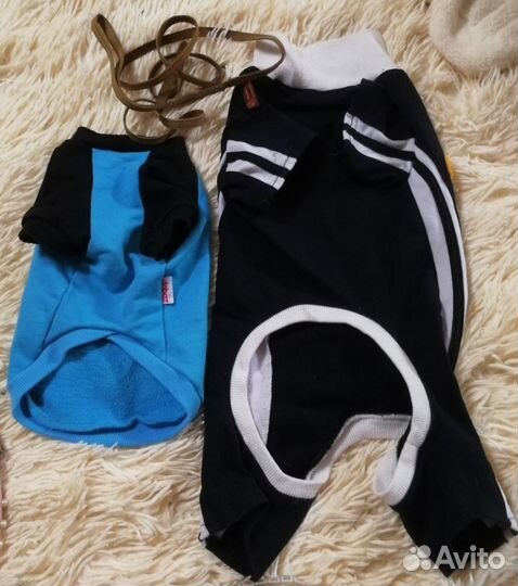 Одежда для собак таксы щенка, взрослой