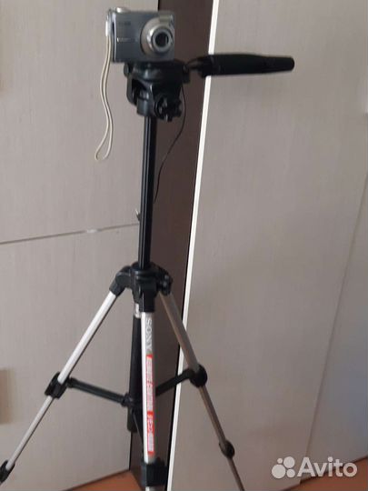 Sony n50