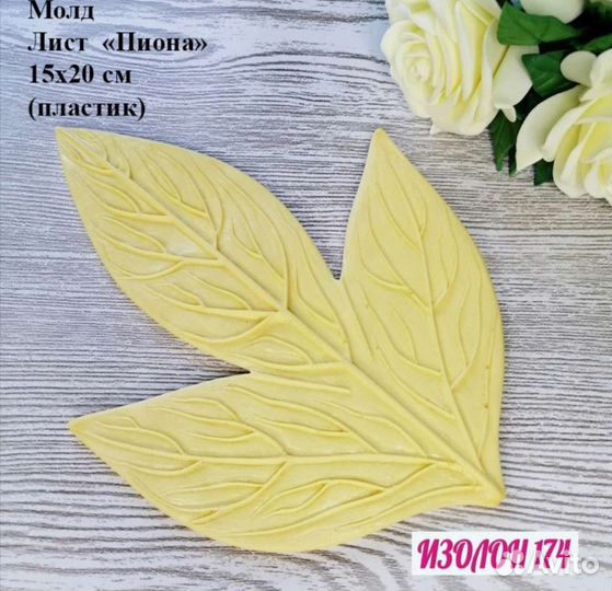 Молды, вайнеры