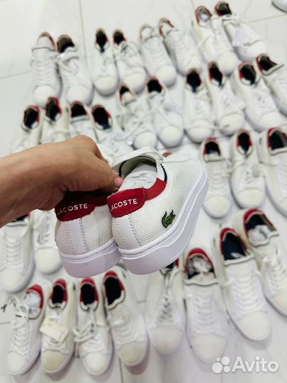Кеды lacoste оригинал