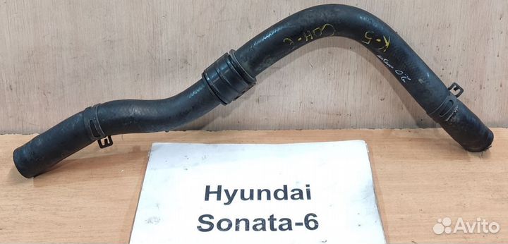 Патрубок радиатора основного Hyundai Sonata 6, 12г