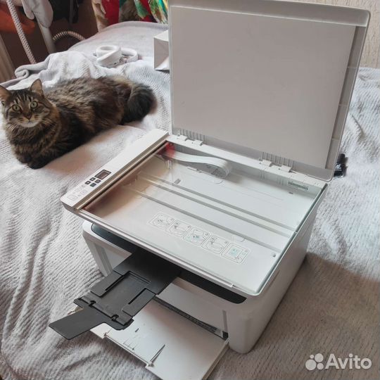 Мфу hp laserjet pro mfp m28w