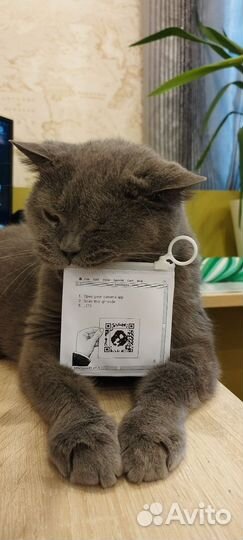 Стикеры Solutions для Кирюши)