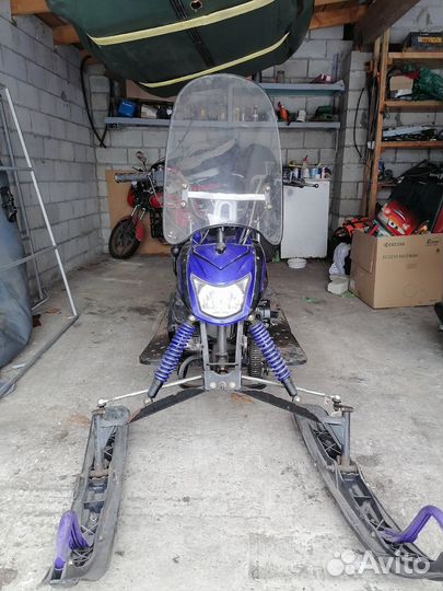 Irbis (dingo - T150)