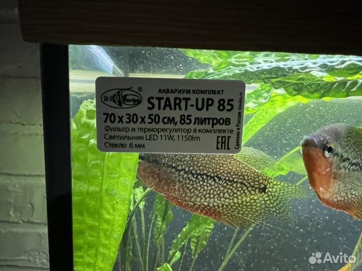 Продам аквариум