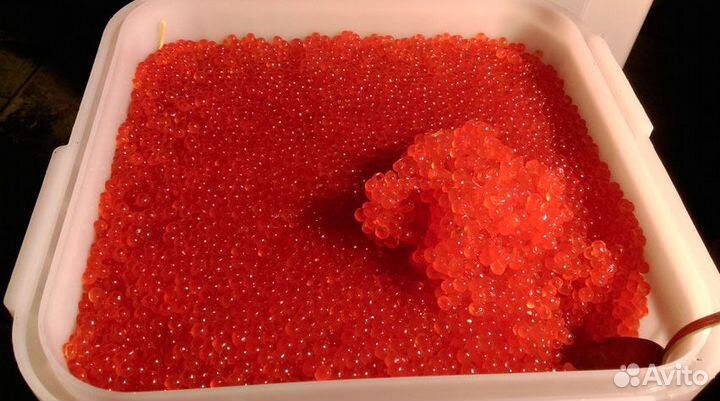 Продам икру кеты, нерки, кижуча оптом