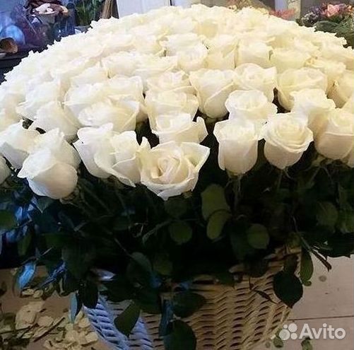 Высокие Высокие розы Гигантские розы Букеты Достав