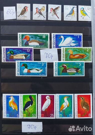 Почтовые марки.Фауна 1