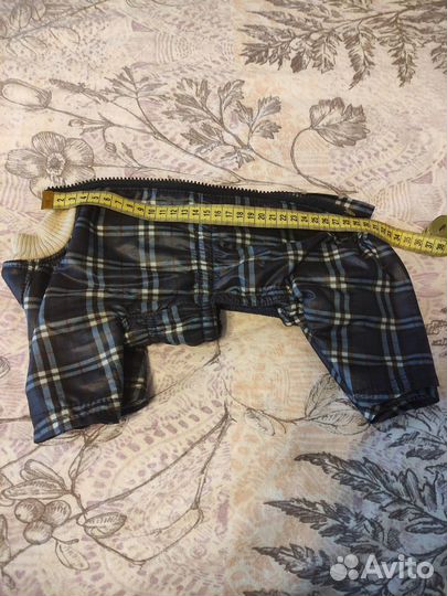 Одежда для собак мелких пород