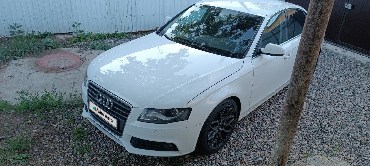 Audi A4: фото владельца