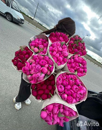 Пионы букет оптом