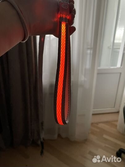 Поводок светящийся 1,5 метра touch dog для собак